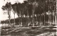Edge of a Wood, Drawing in Charcoal 1881