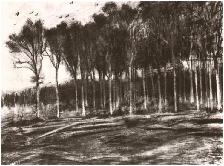 Edge of a Wood, Drawing in Charcoal 1881