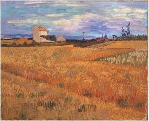 Wheat Field