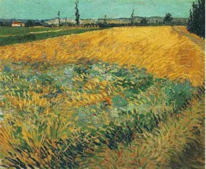 Wheat Field with the Alpilles Foothills in the Background